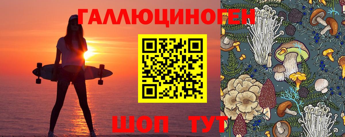 A PVP Кохма
