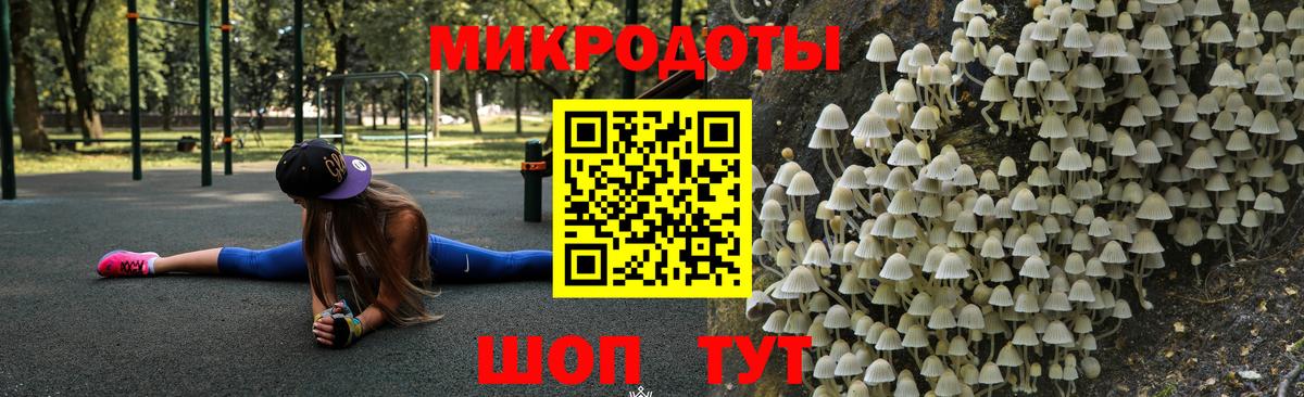 Псилоцибиновые грибы Psilocybine cubensis  Вход с VPN  Псилоцибиновые грибы GOLDEN TEACHER  Кохма 