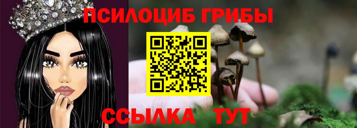 Галлюциногенные грибы прущие грибы Кохма